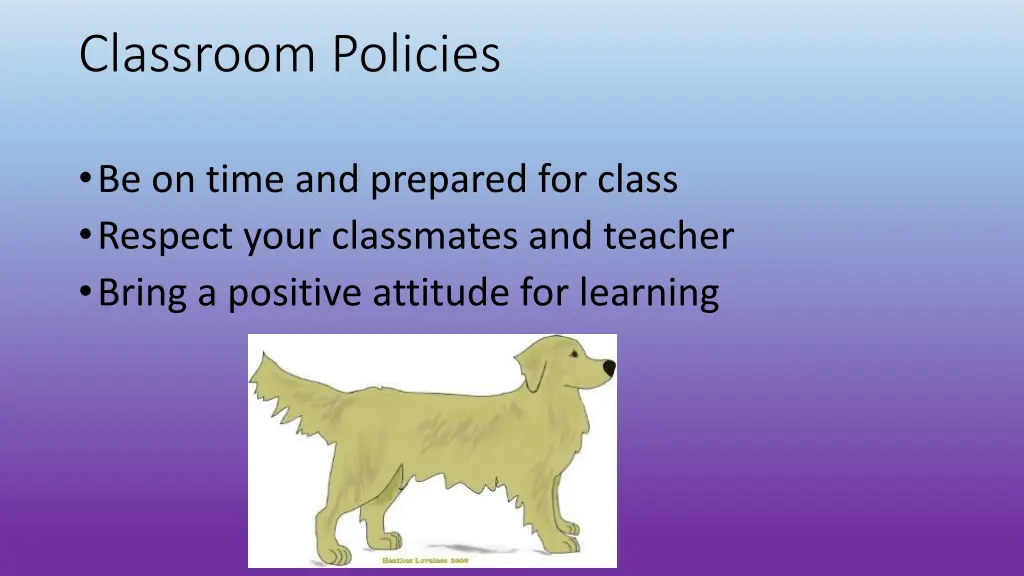 classroom policies