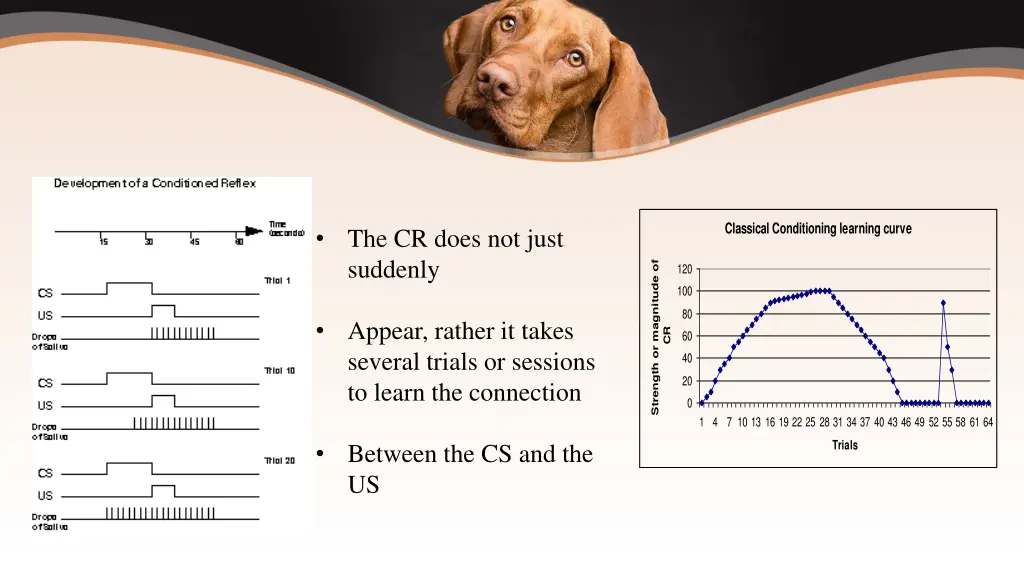 classical conditioning learning curve
