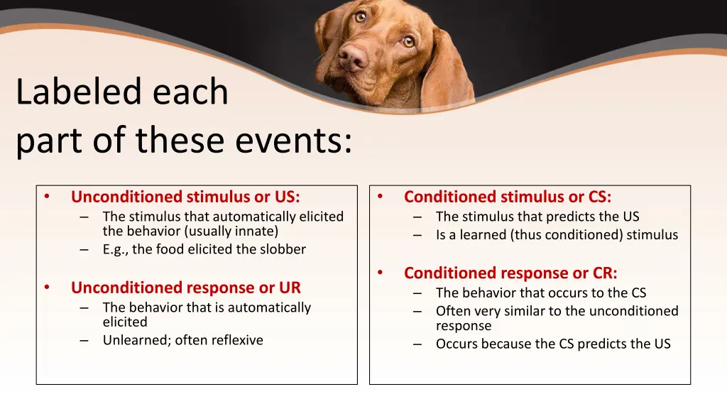 labeled each part of these events