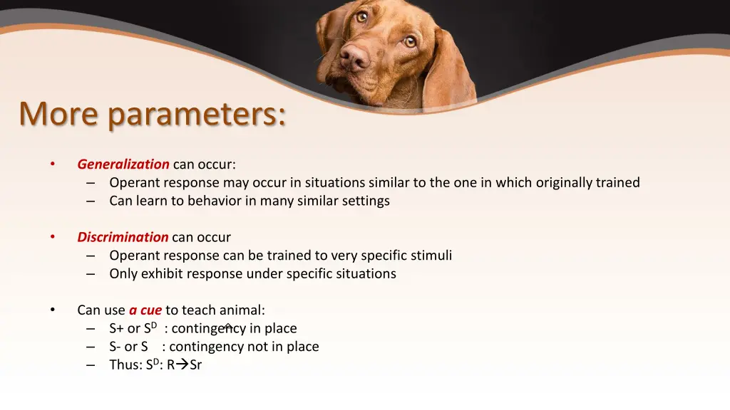 more parameters