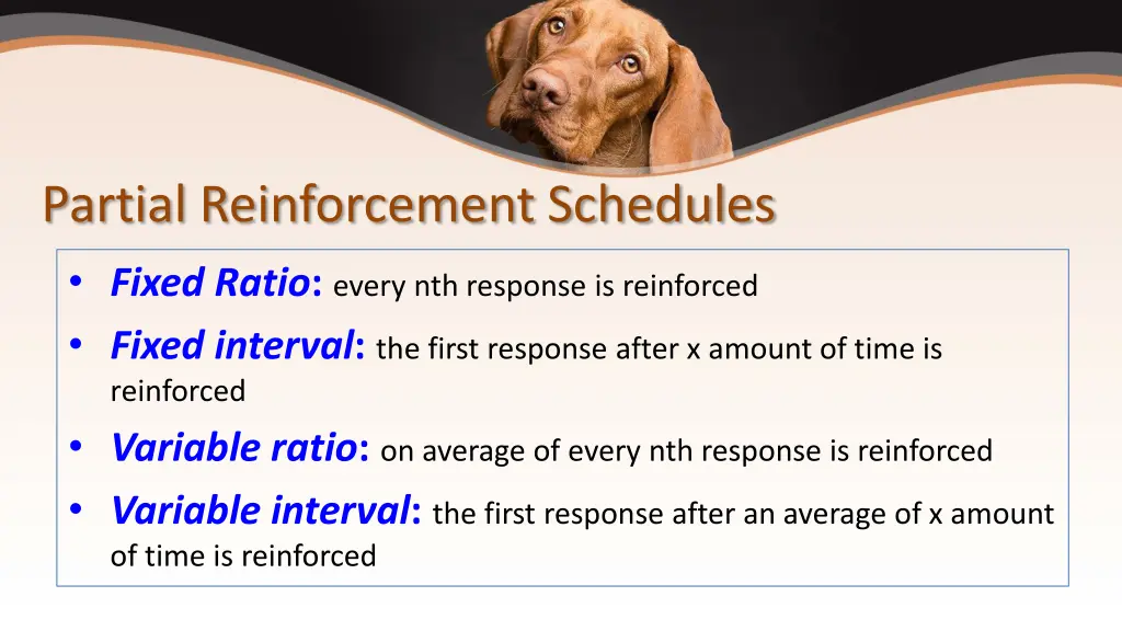 partial reinforcement schedules fixed ratio every