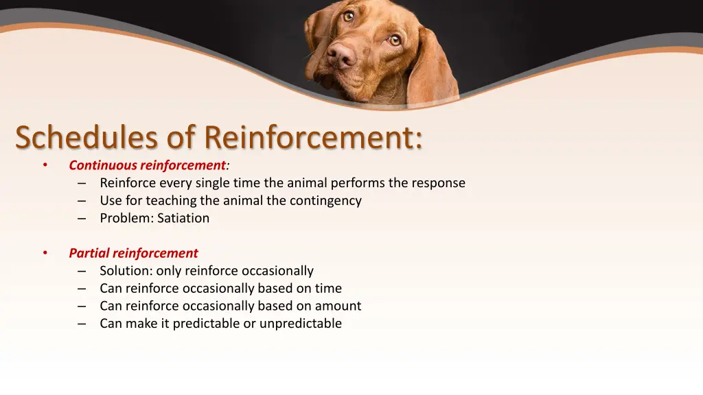 schedules of reinforcement continuous