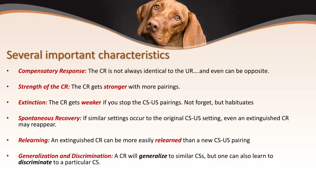 several important characteristics