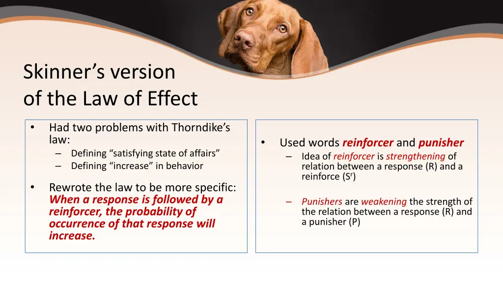 skinner s version of the law of effect