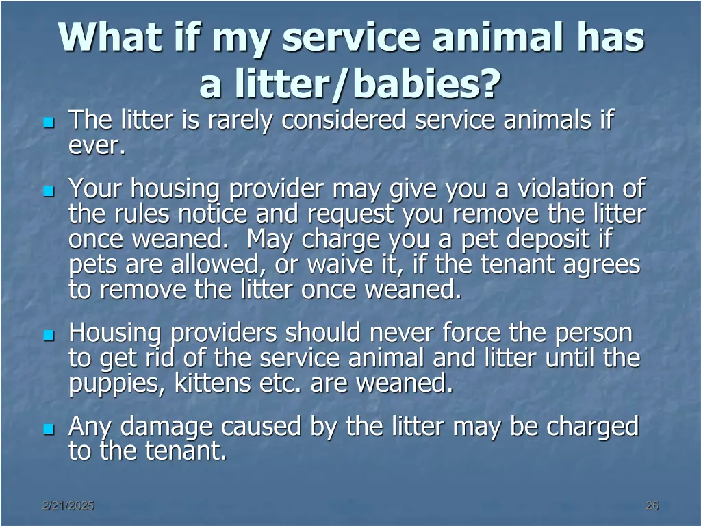 what if my service animal has a litter babies