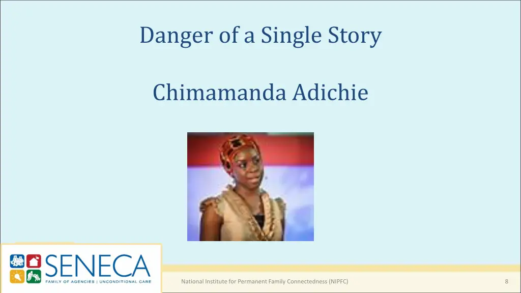 danger of a single story