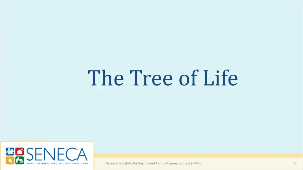 the tree of life