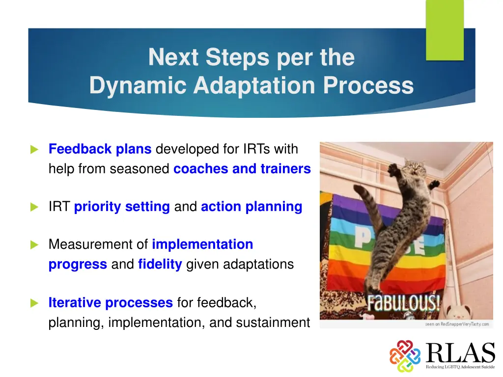 next steps per the dynamic adaptation process