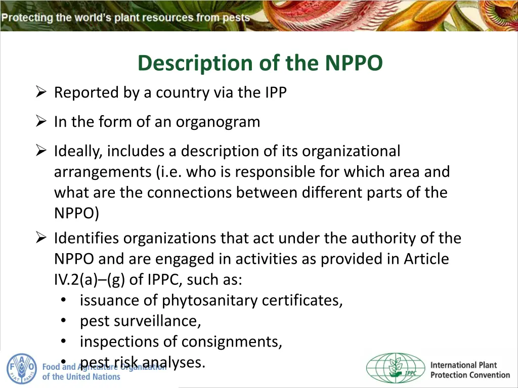 description of the nppo reported by a country