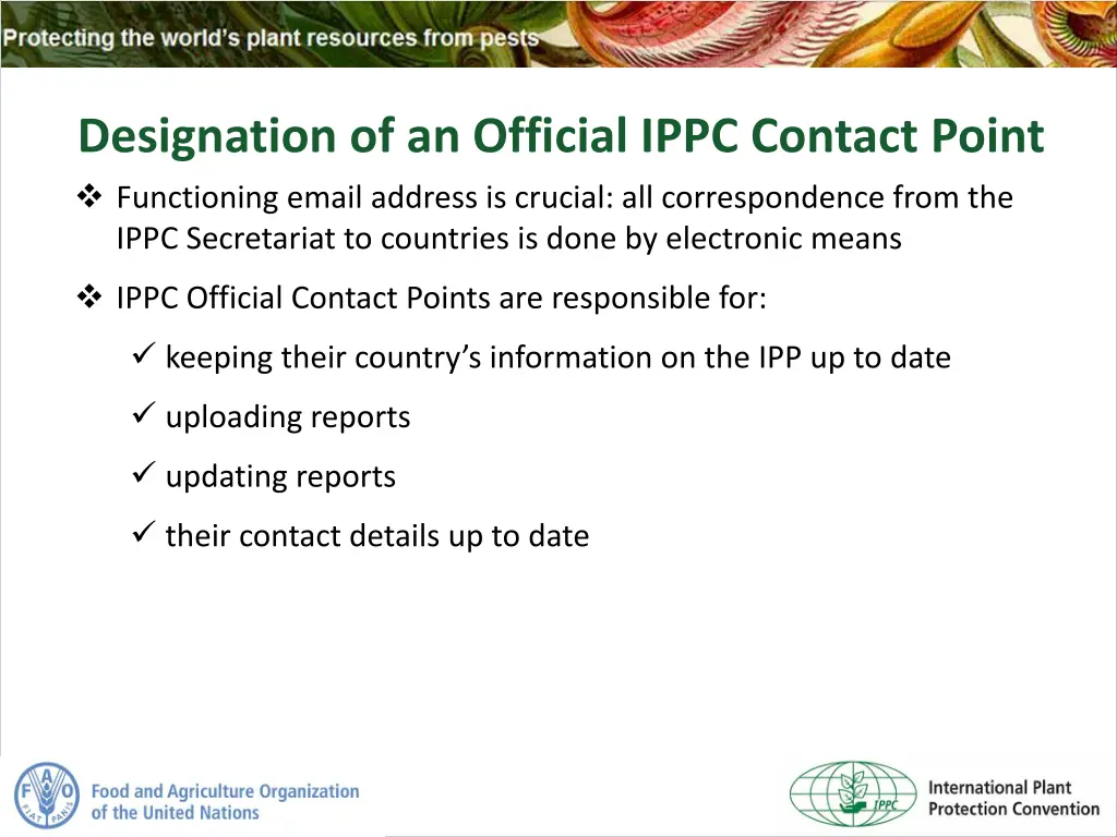 designation of an official ippc contact point 1
