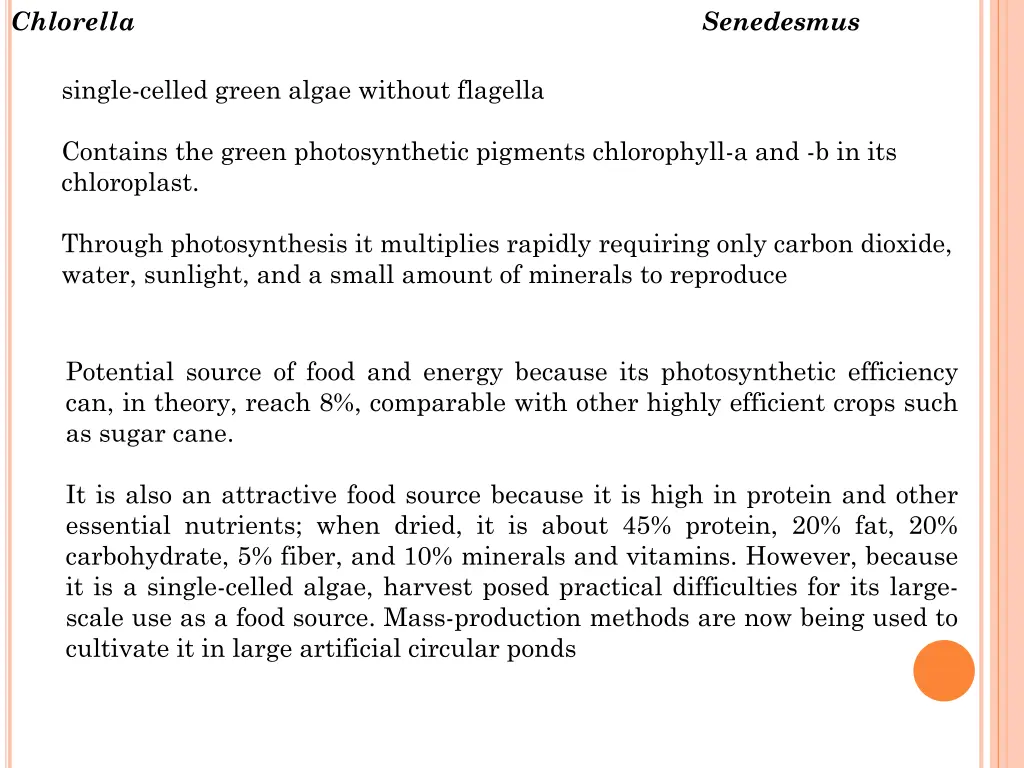 chlorella