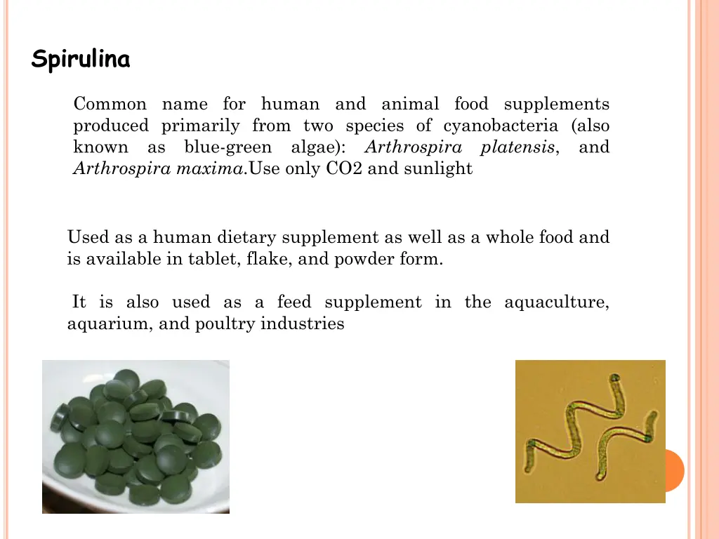 spirulina