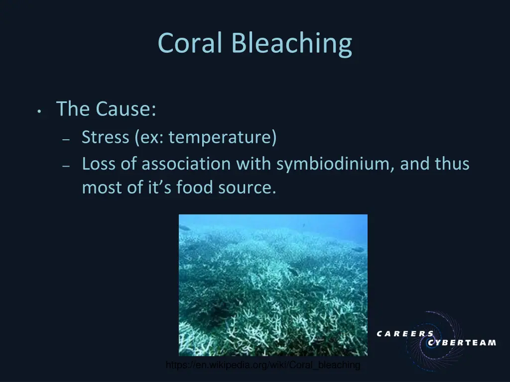 coral bleaching