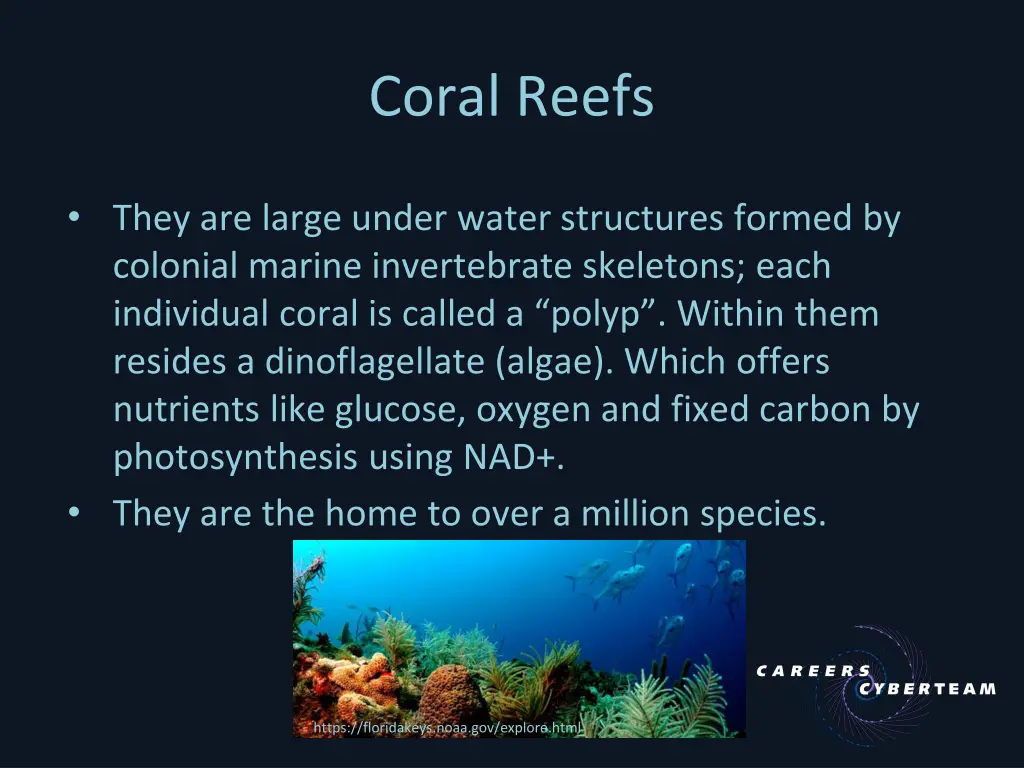coral reefs