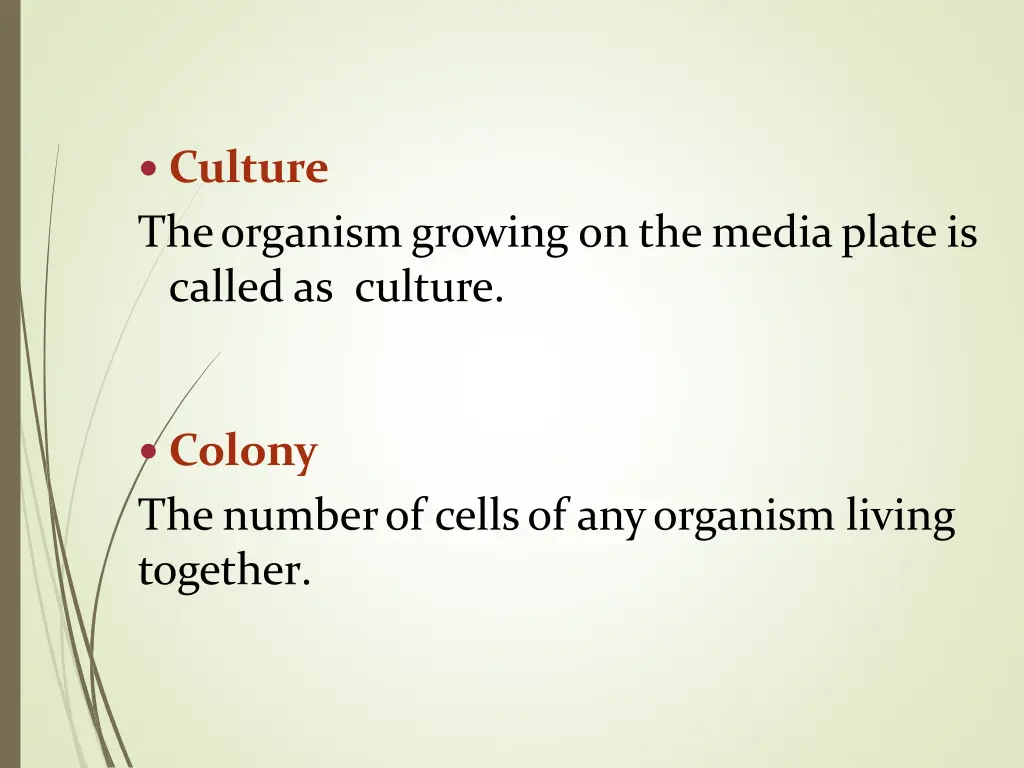 culture theorganismgrowing onthemediaplateis