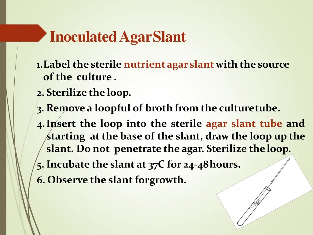 inoculated agarslant