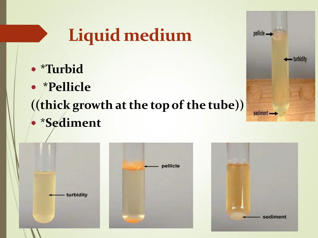liquidmedium 1