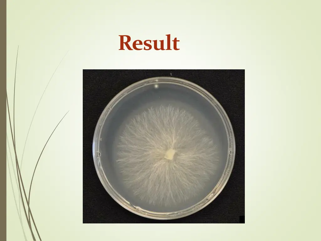 result