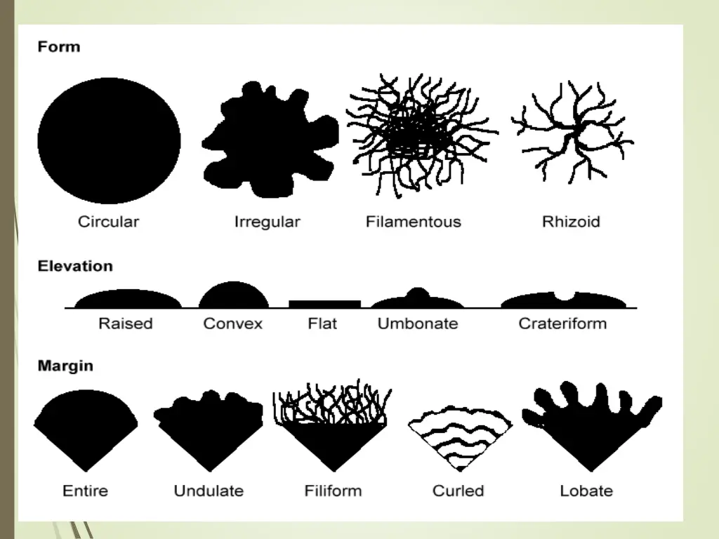 slide14