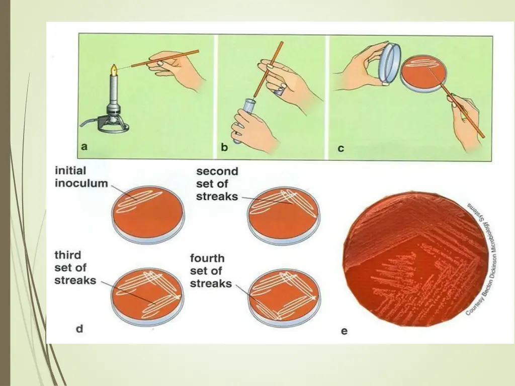 slide8