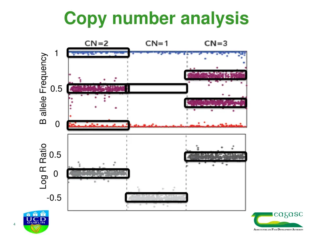 copy number analysis