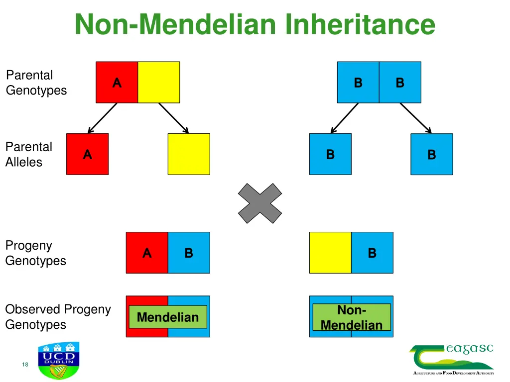 non mendelian inheritance