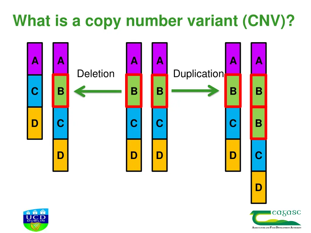 what is a copy number variant cnv