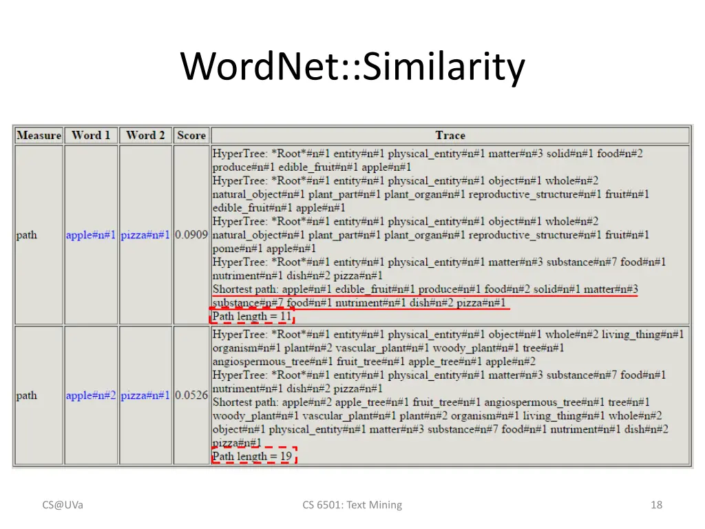 wordnet similarity 1