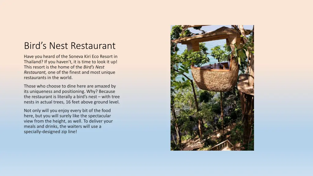 bird s nest restaurant