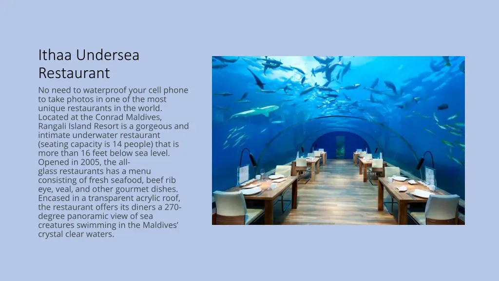 ithaa undersea restaurant no need to waterproof