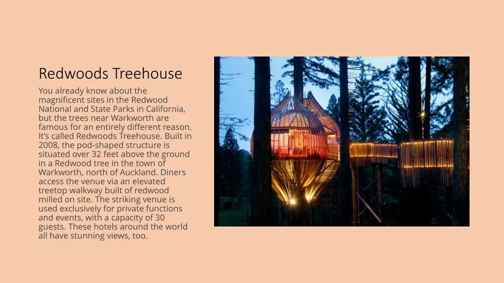 redwoods treehouse you already know about