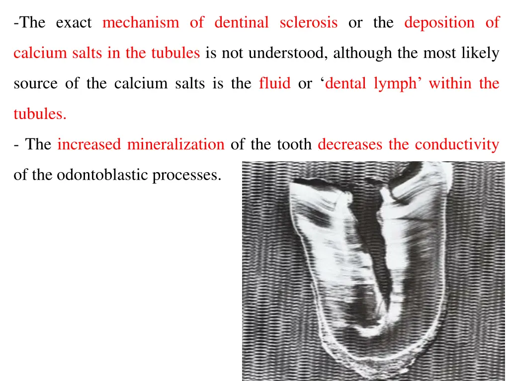the exact mechanism of dentinal sclerosis