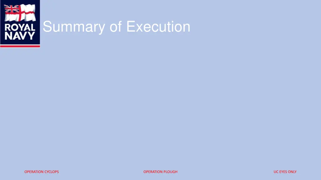 summary of execution
