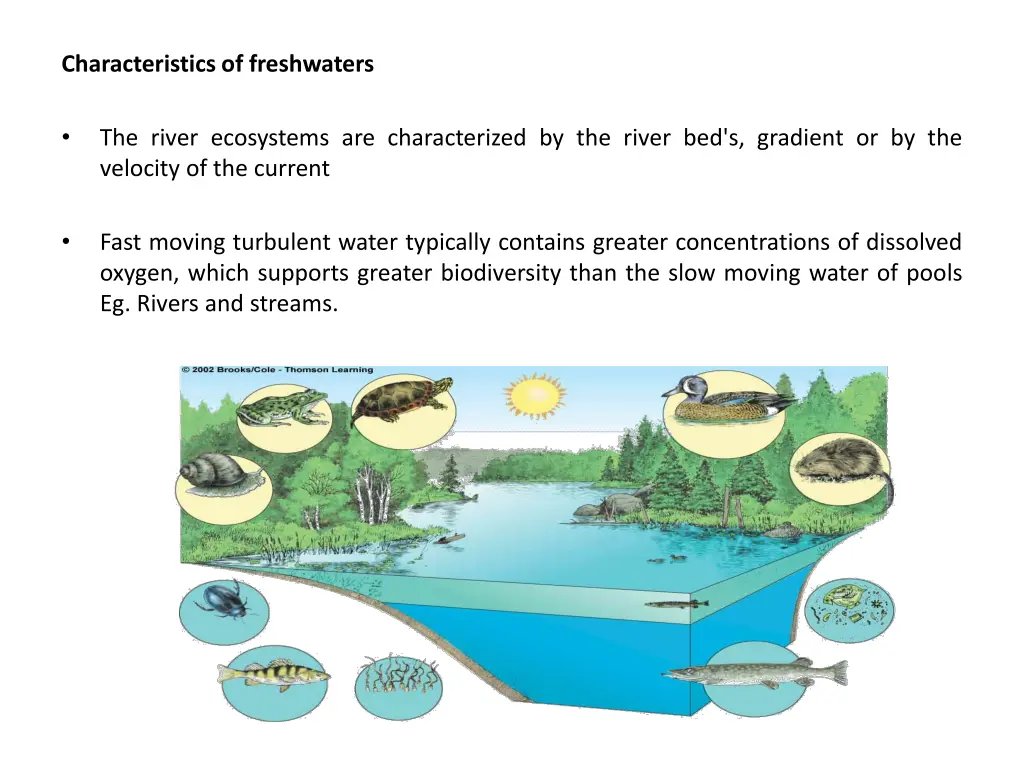characteristics of freshwaters