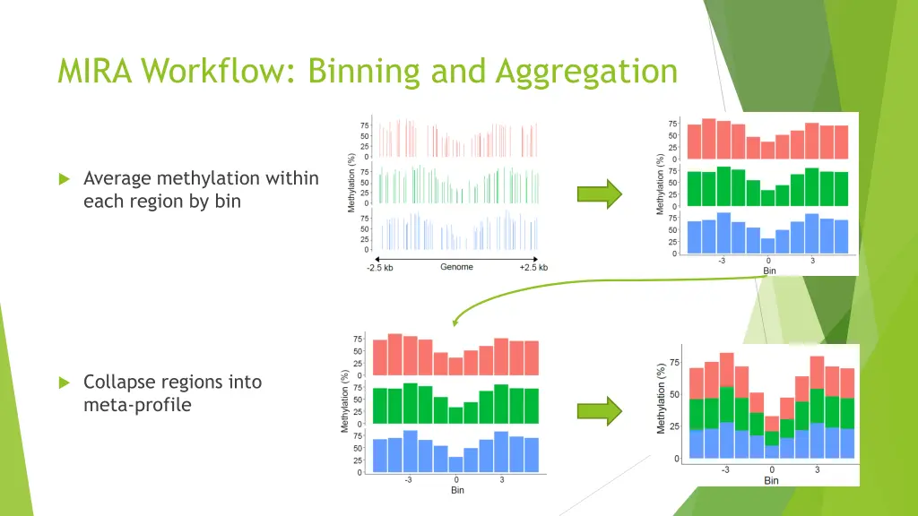 mira workflow binning and aggregation