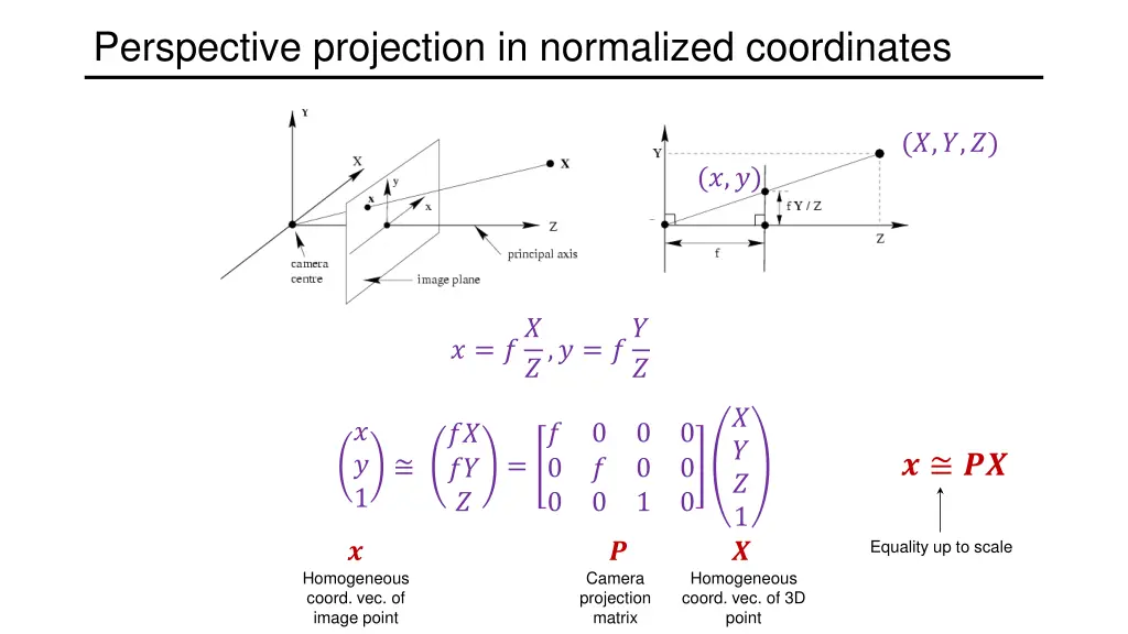 perspective projection in normalized coordinates 1