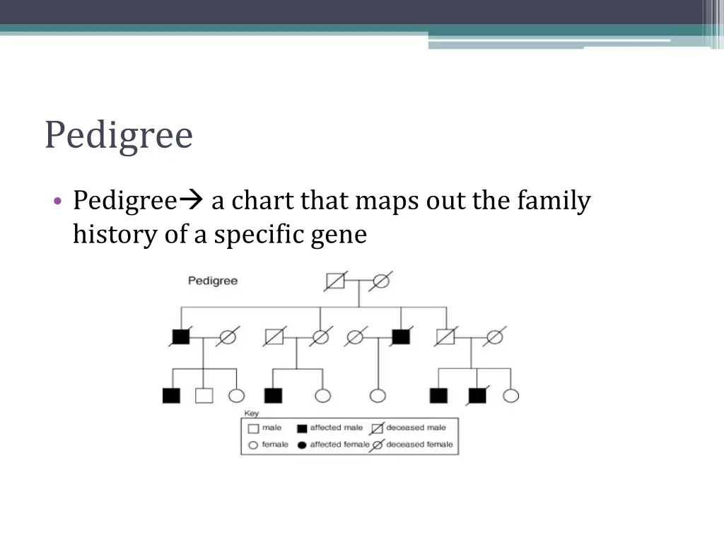 pedigree