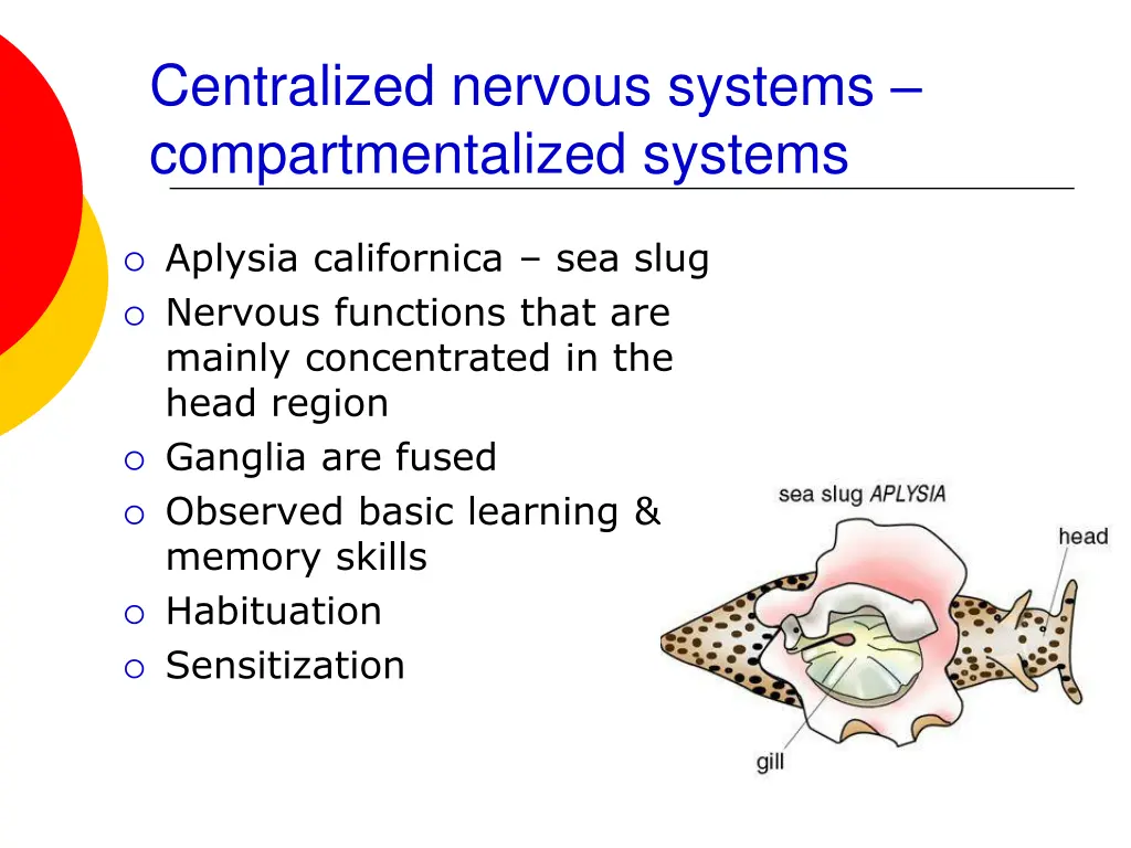 centralized nervous systems compartmentalized