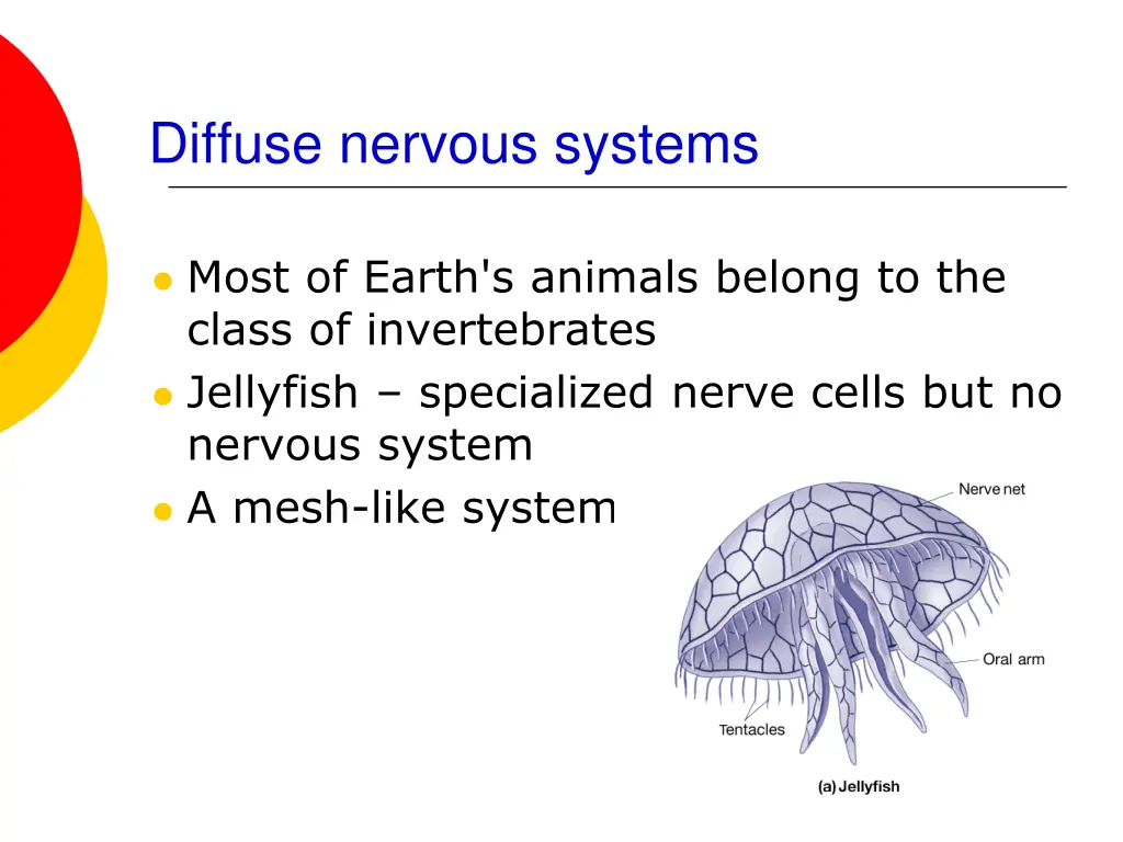 diffuse nervous systems