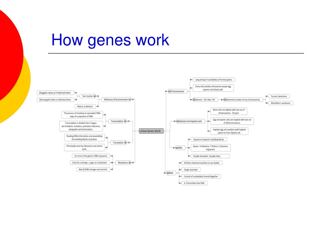 how genes work