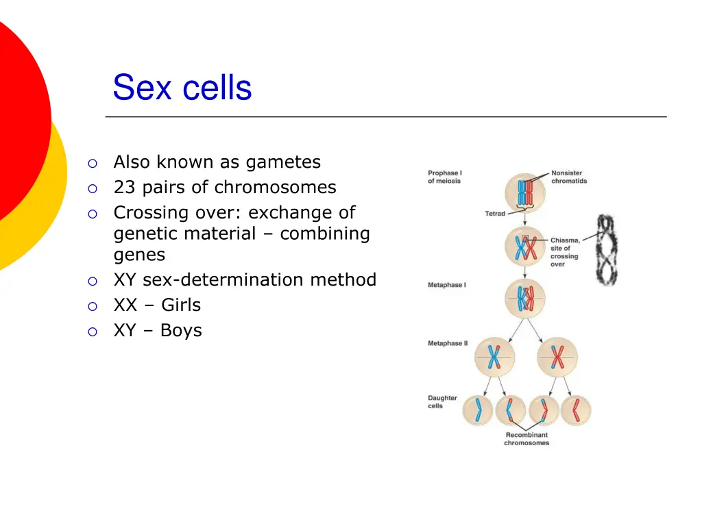 sex cells