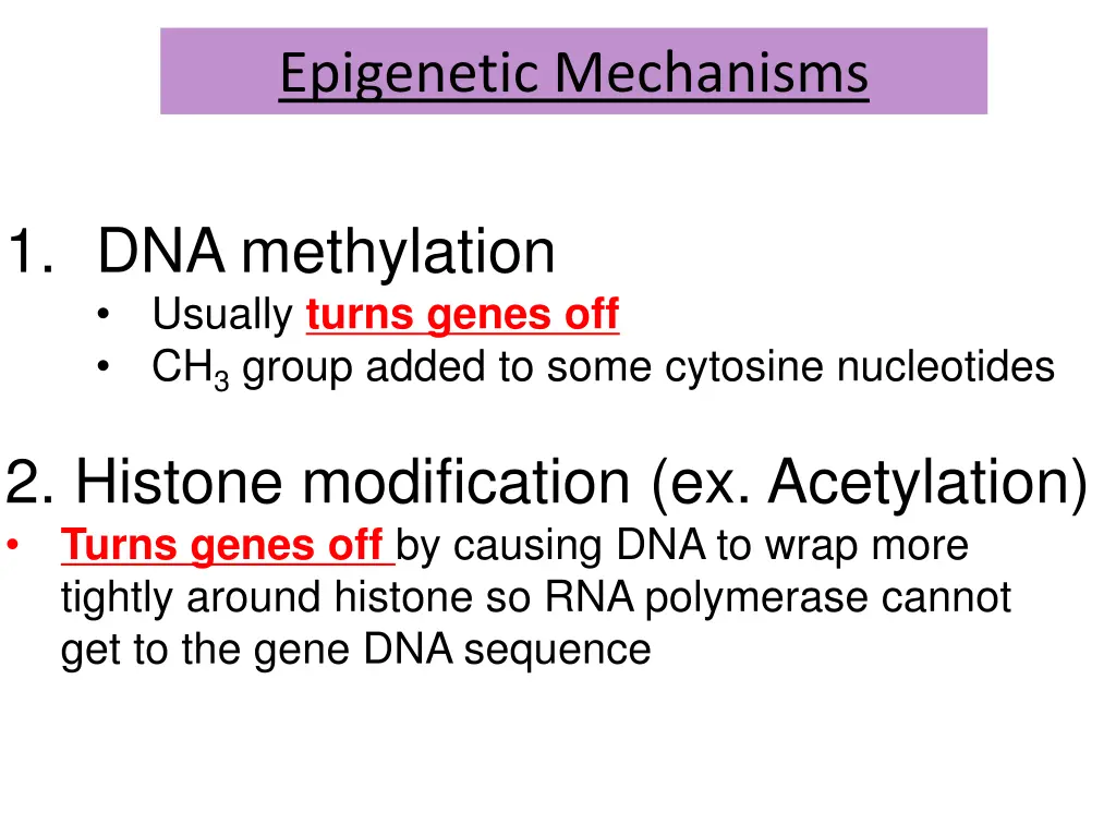 epigenetic mechanisms