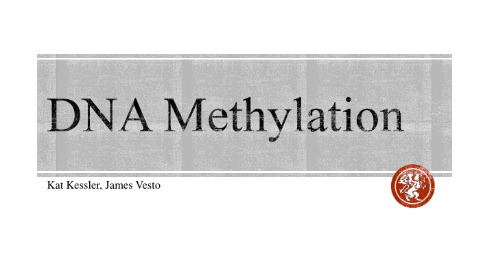 dna methylation