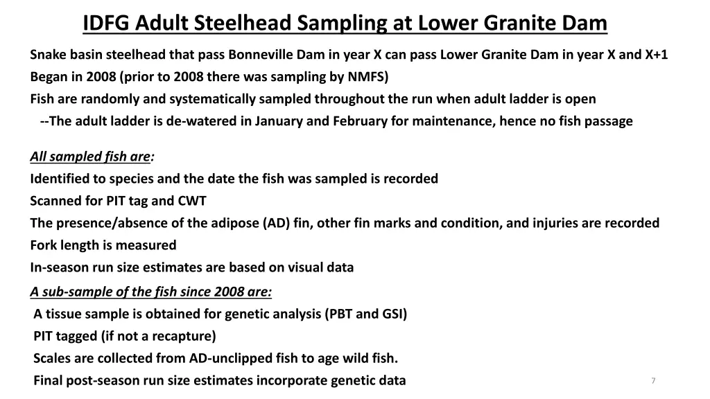 idfg adult steelhead sampling at lower granite dam