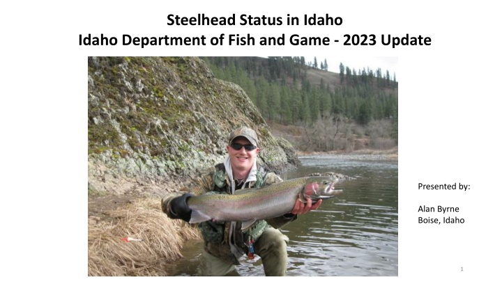 steelhead status in idaho