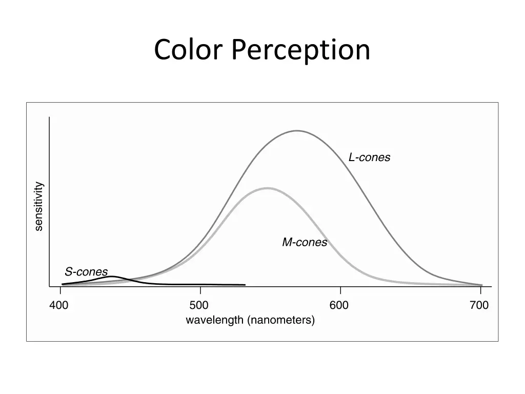 color perception