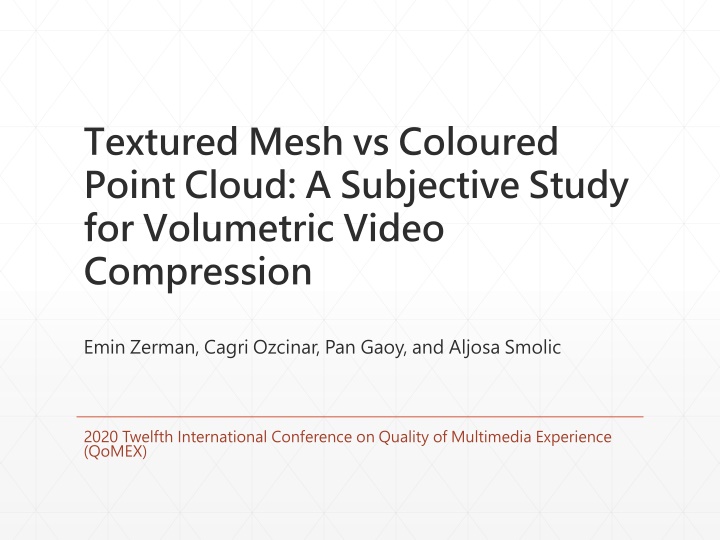 textured mesh vs coloured point cloud