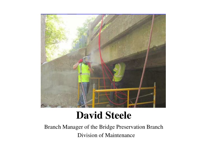 david steele