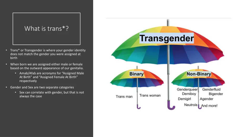 what is trans