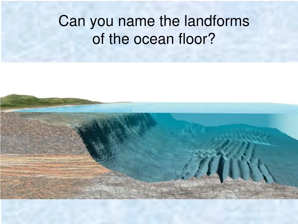 can you name the landforms of the ocean floor
